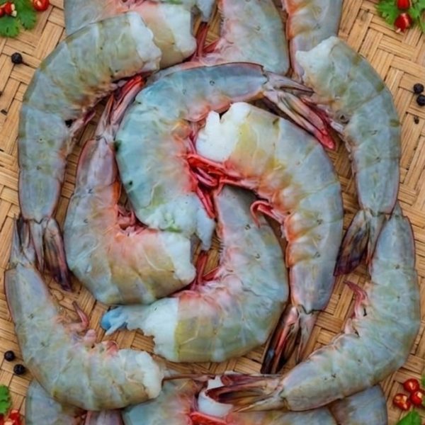 White Cingri (হোয়াইট চিংড়ি/ছাগা চিংড়ি) বড় সাইজ ২৫-৩০ পিস